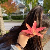 prav profile picture