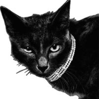 Mya Chavez profile picture