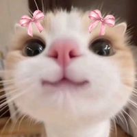 lunar.ann 🎀 profile picture