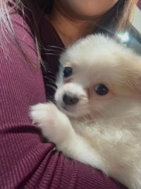 Jaye Lindico profile picture