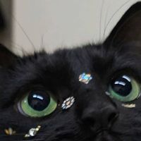 star profile picture