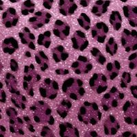 Kohle S profile picture