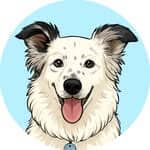domino 🐾🦴 profile picture