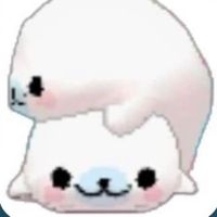sammie li profile picture