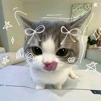 Kim profile picture