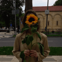 seso Kakabadze profile picture