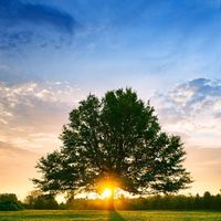 Eddietop100 profile picture