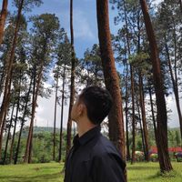 D. Lutfi profile picture