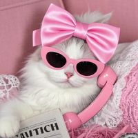 RenRen 🌸 profile picture