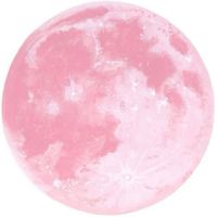angelicinspirations profile picture