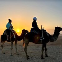 Karissa Chabot profile picture