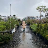 Holly Joseph profile picture