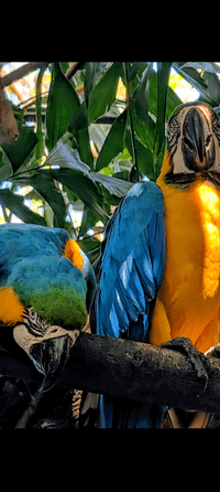 Jennifer Wright profile picture