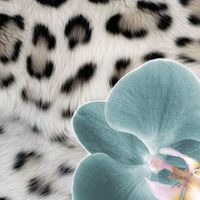 GRETCHEN & TOAST profile picture