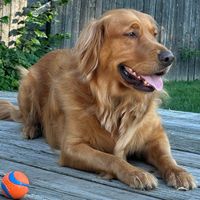 Ned Pepper’s mom profile picture