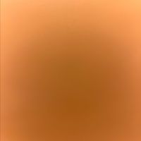 Keni Labrum profile picture