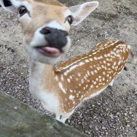 yes profile picture