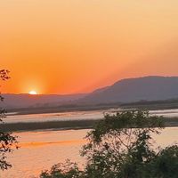 Desiree D profile picture