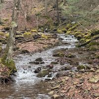 The Outdoors Enthusiast ( Fishing,hunting,and More!) profile picture