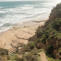 laura profile picture