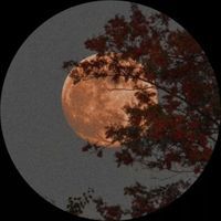E profile picture