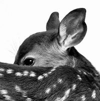 Naya profile picture