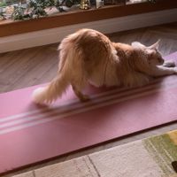 emily 🕊️ profile picture