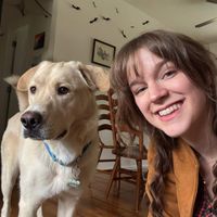 Amy Meredith profile picture