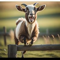 Drew ballz profile picture