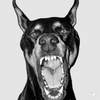 Madeline Compagnoni profile picture