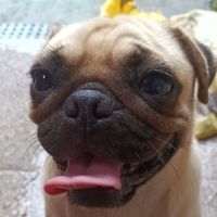 Kezziah Cabanos profile picture
