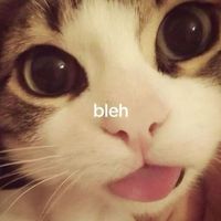 Lyionne Bella profile picture