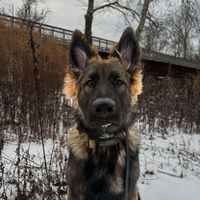 Sydney Martin profile picture