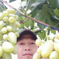 Ono Wijaya profile picture
