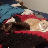 Heather M profile picture