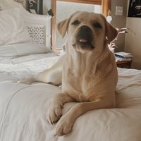 Bri K profile picture