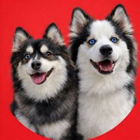 Ally C. | Riot + Rebel profile picture