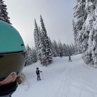 Krista Finch profile picture