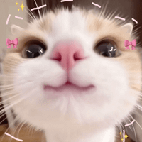 Kim profile picture