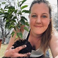 Your Local Plant Lady profile picture