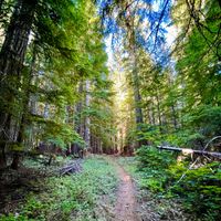 Becca Marie profile picture