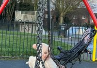 Zillennial Mum profile picture