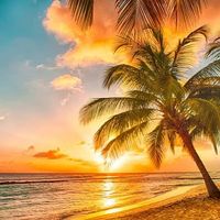 Jess profile picture