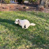 Wyatt Bennett profile picture