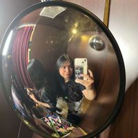 Milanovia profile picture