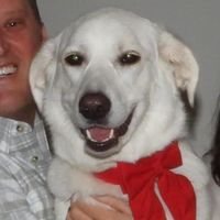 Andrea profile picture