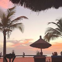 Maguette N E profile picture