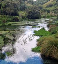 SheEOAdventures profile picture