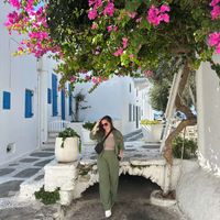 Ashley S profile picture