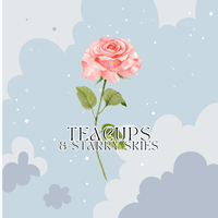 Sara Johnson profile picture